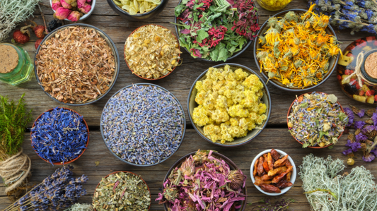 Our Ingredients Policy: Why What You Put on Your Face Matters – and How We Care