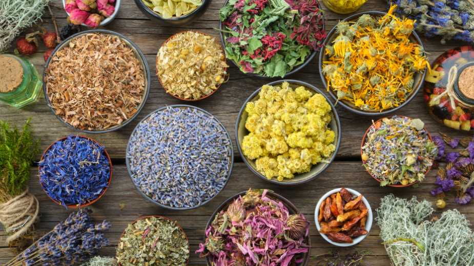 Our Ingredients Policy: Why What You Put on Your Face Matters – and How We Care