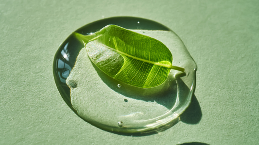 Why Squalene Is a Skincare Essential for Mature Skin: Benefits, Sources, and What Truly Matters